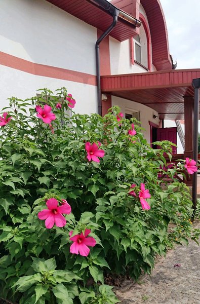 Ретрит-центр фото 8